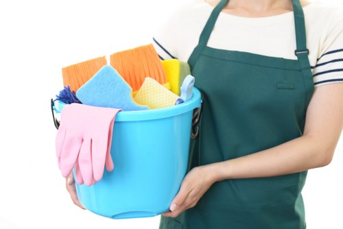Professional cleaning services for homes in Merton
