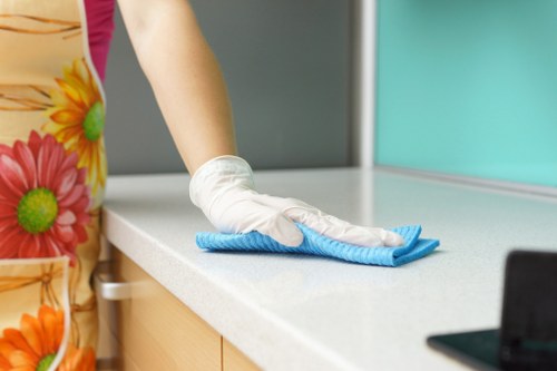 Window cleaning service for homes in Merton with clean exterior glass