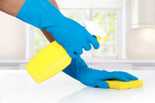 Domestic cleaning service for a Merton home with routine kitchen and floor care