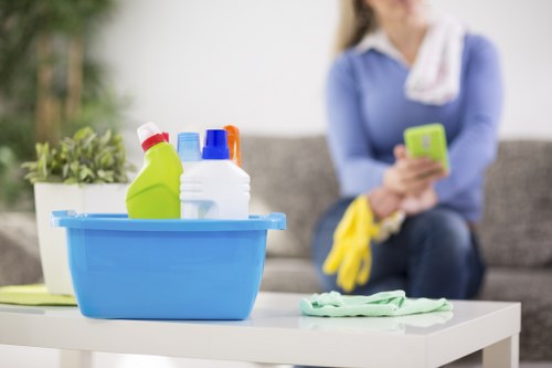 Deep carpet cleaning equipment used in a Merton property
