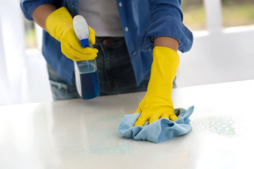 Cleaning fabric dining chairs in a Merton home
