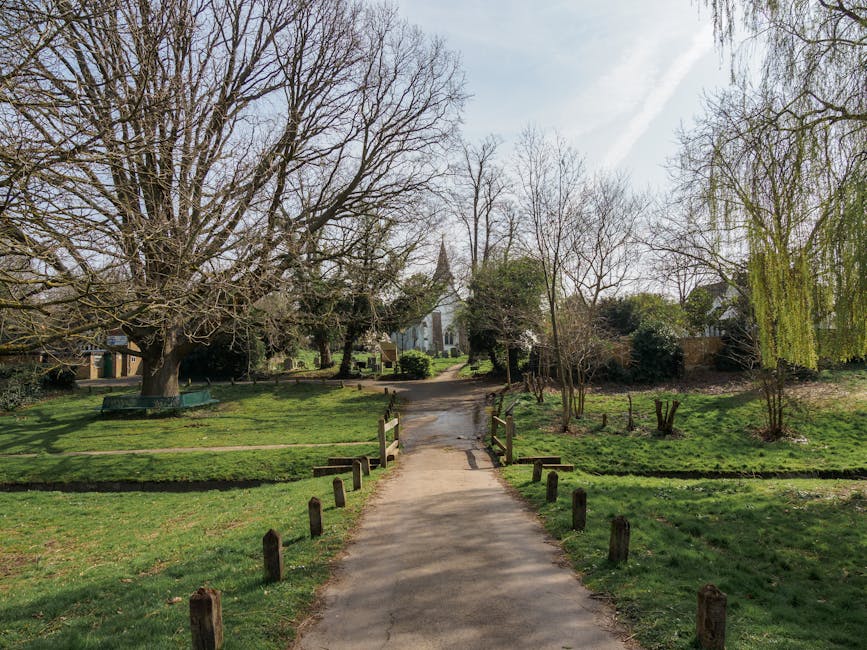 A paved pathway leading through a park area with trimmed grass on either side, bordered by wooden post splits. Large, leafless trees with sprawling branches frame the scene, while green shrubbery and smaller trees add depth to the landscape. In the background, a historic stone church with a tall steeple is visible behind the trees, under a partly cloudy sky. The lighting suggests a bright, sunny day. This outdoor setting has no visible cleaning activity, but the image is associated with post-event cleaning services provided by Deep Cleaning Merton, emphasizing thorough surface cleaning and maintenance of outdoor public spaces.